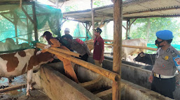 Puluhan Hewan Ternak di Wilayah Kecamatan Krangkeng Disuntik Vaksin
