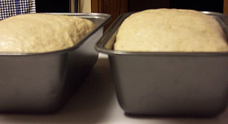 light-wheat-and-spelt-bread 022