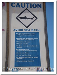Shark Attack