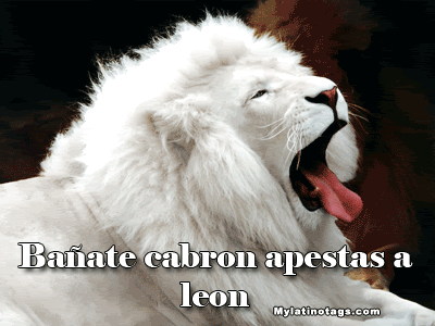 grosero_comentarios12