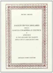 Saggio di vocabolario della Gallia Cisalpina e celtico (rist. anast. Milano, 1856)