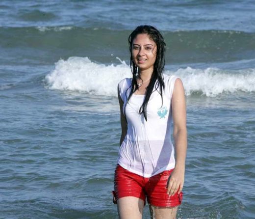 bhanusri mehra cute stills