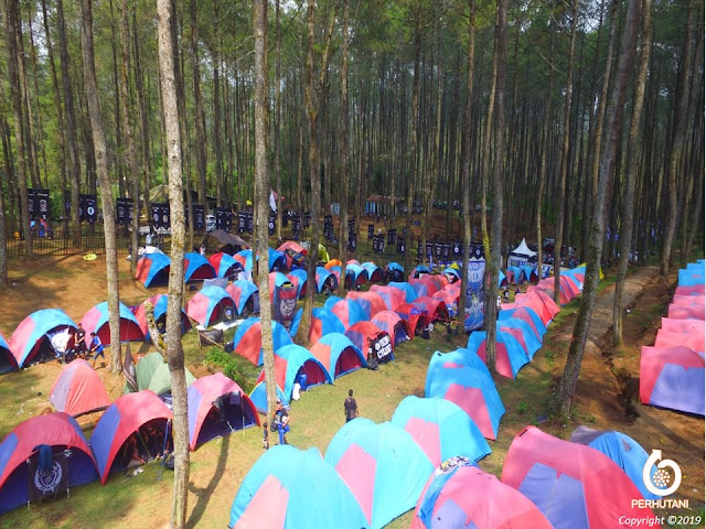 Area Gathering, Outing Outbound dan Camping Cikole Green Grass