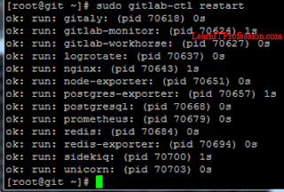 how to backup and restore gitlab in linux