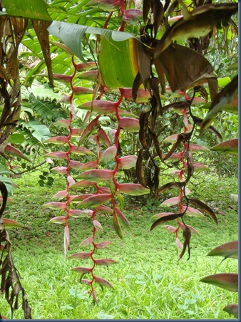 P8280104