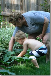 2010-08-01 (6)