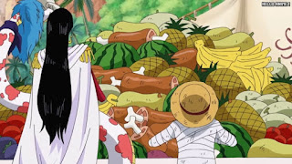 ワンピースアニメ 507話 女ヶ島 | ONE PIECE Episode 507