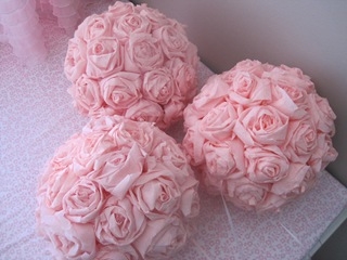IMG_7270 IMG_7270
