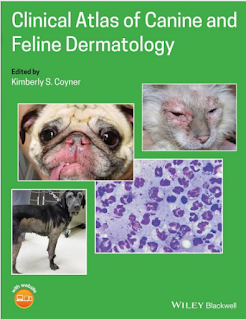 Clinical atlas of canine and feline dermatology by kimberly S Coyner