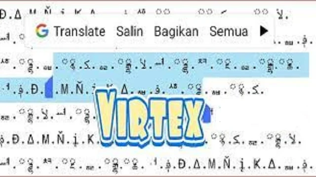Salin Virtex WA