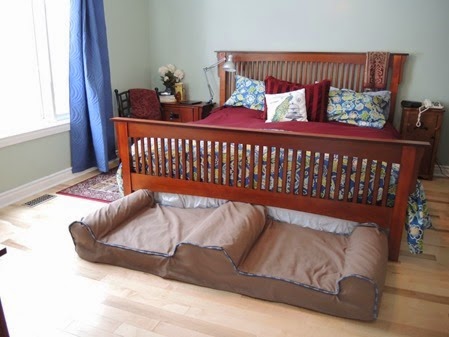 20141216_134905-dog-bed