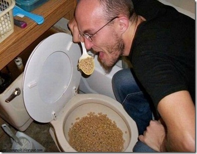 vomit