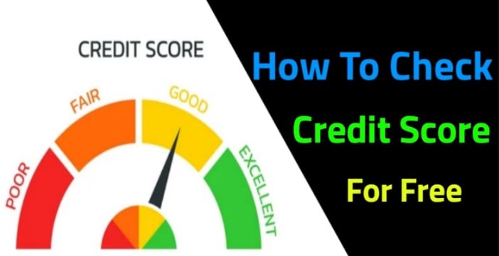 OneScore Credit Score Insight