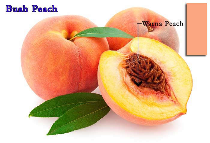Pengertian Warna  Peach  Dan Contohnya Ngeeneet