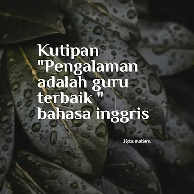 Kutipan Pengalaman adalah guru terbaik bahasa inggris