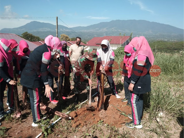 Manfaatkan Lahan Kosong Anggota Koramil 05/Permata Dan Persit Ranting VI Tanam Pisang