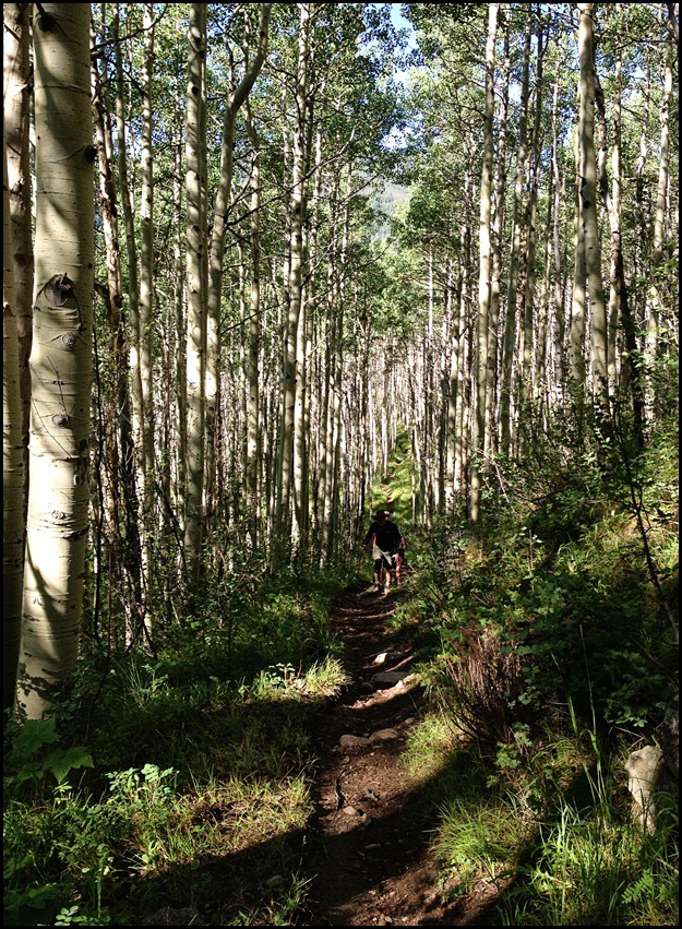 Bighorn Creek Trail 7-23-12 (16)