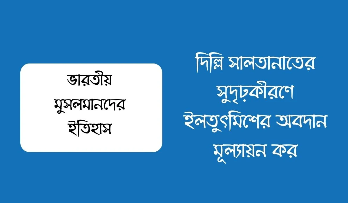 দিল্লি সালতানাতের সুদৃঢ়কীরণে ইলতুৎমিশের অবদান মূল্যায়ন কর
