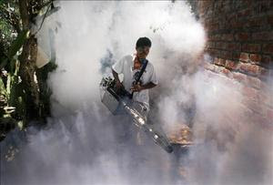 dengue fogging Honduras