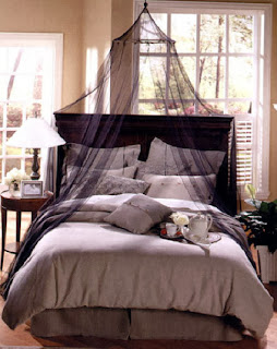 Canopy beds for everyone