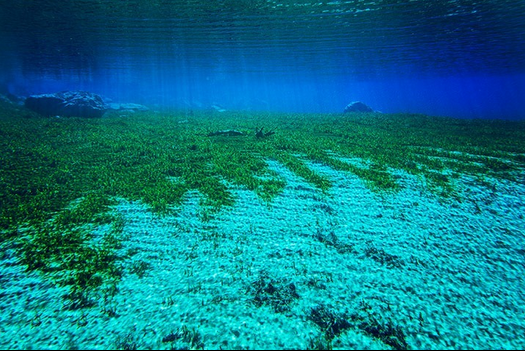 Gambar: Blue Lake Tasik Paling Jernih Di Dunia - Terbakor