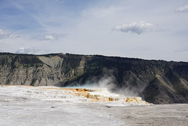 canary spring mammoth hot springs