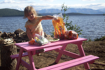 picnic table project