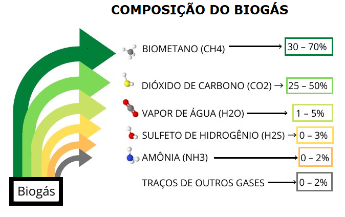 Sphagnum moss structures and soil pore sizes. (a) Sphagnum lawn