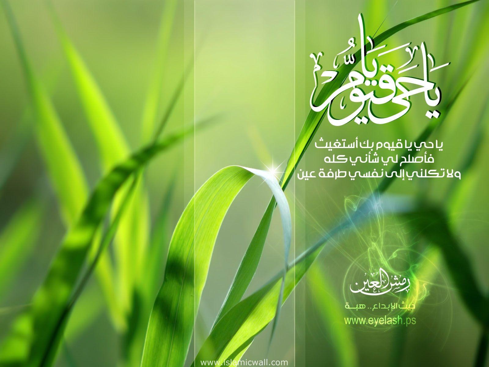 imagesofthe blog Islamic  HD green  wallpapers 