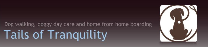 Our Tails of Tranquility