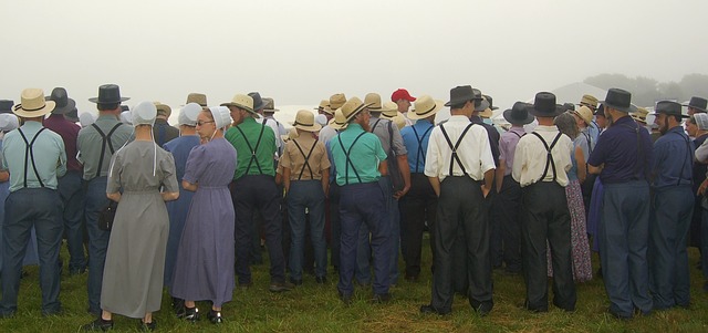 Who are the Amish sect