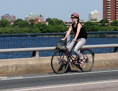 purple ANT bike