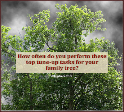 Keep your family tree healthy with regular checkup/tune-up tasks.