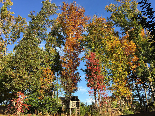 Beauty Begins with Biscotti: Fall Break