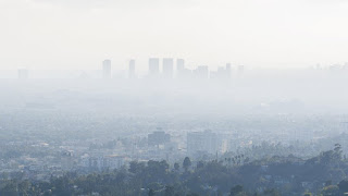 Smog – Definition, Effects And Causes Of Air Pollution