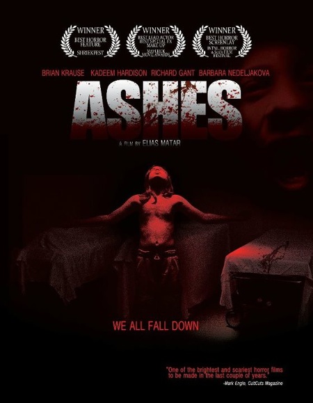 Ashes (2011) DVDRip 350MB