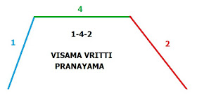 VISAMA VRITTI PRANAYAMA