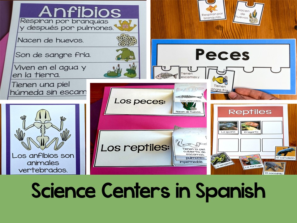 Hands-on science activities for teaching animal classification in Spanish