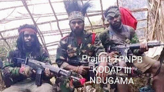 Tidak Disangka, Ini Pernyataan Egianus Kogeya Usai KKB Serang TNI, Sebut TNI Bohong!