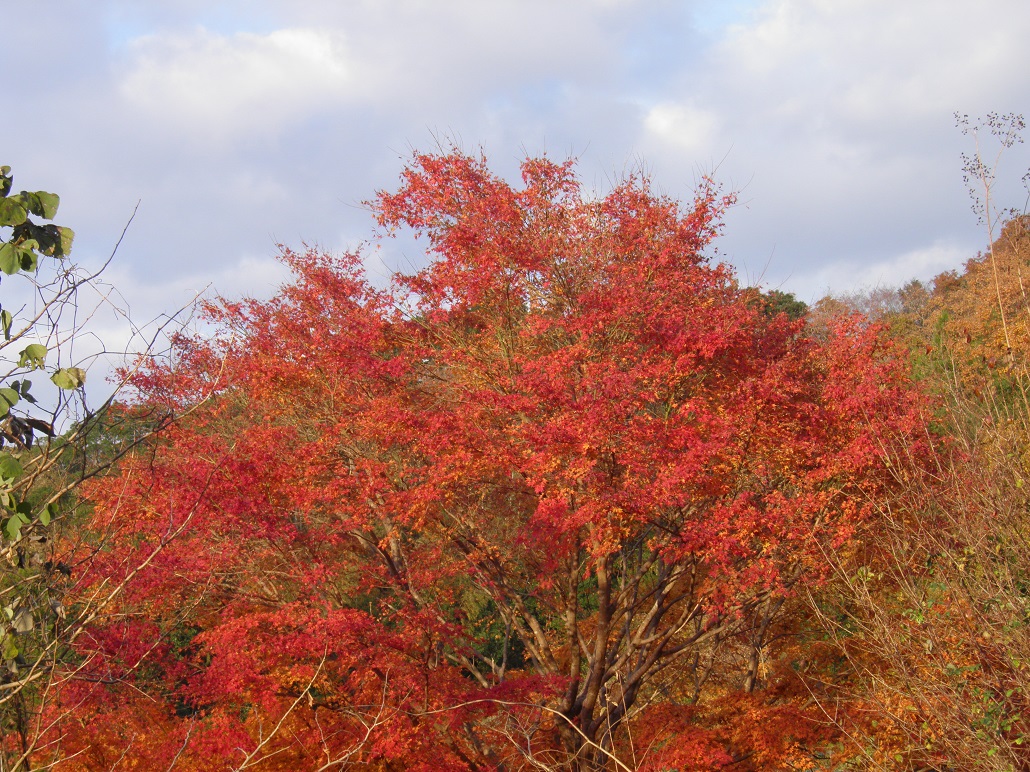 田舎暮らし 賃貸 By My Blog ブログ特選記事