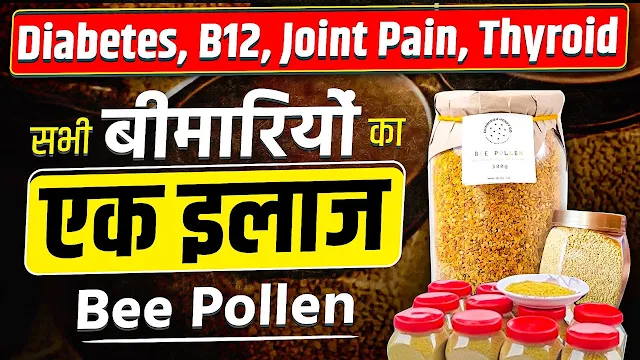 Bee pollen सेवन करने के फायदे हिंदी में। Benefits of eating Bee pollen in Hindi