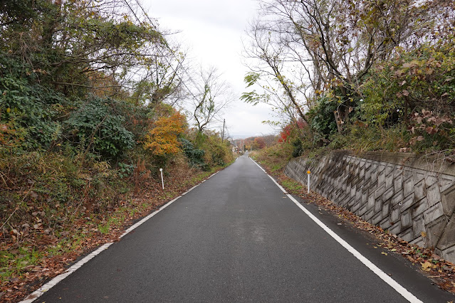 鳥取県西伯郡大山町赤松 一の谷集落付近の眺望