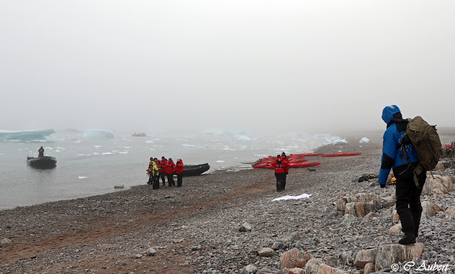 Savissivik, cimetière d'icebergs, météorite,Groenland