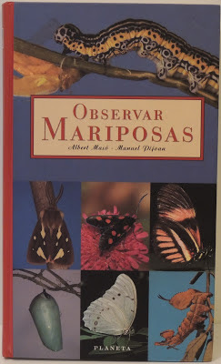 Observar mariposas