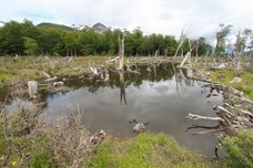 IMG_7069