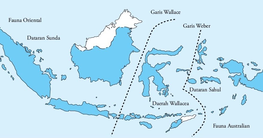  Persebaran  Flora Tumbuhan dan Fauna  Hewan  di Indonesia