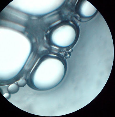 Soap Bubbles.Magnification -100 Times