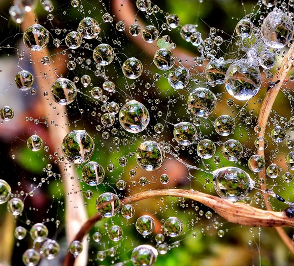 Awesome Rain drops