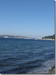 Alki 11