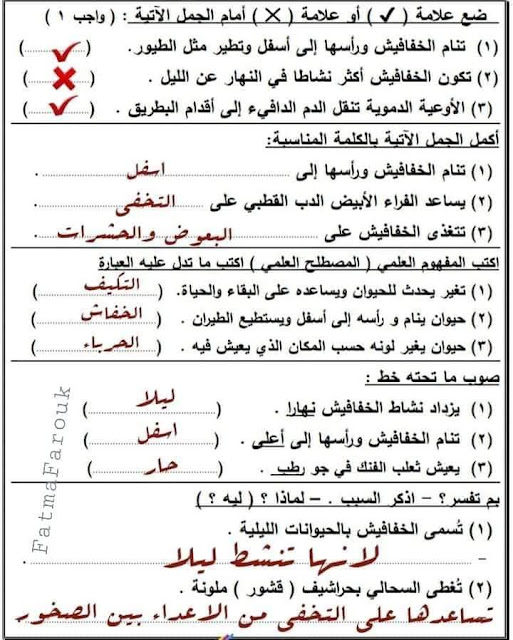 امتحان العلوم للصف الرابع الابتدائي